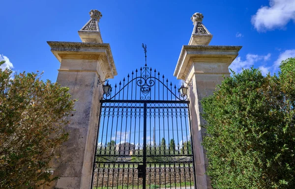 Italie Sicile Modica Province Raguse Campagne Plantes Arbres Dans Une — Photo