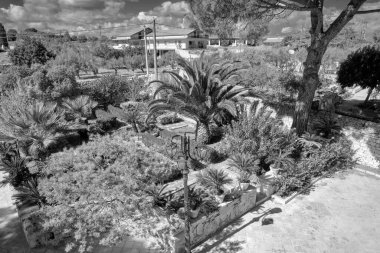 İtalya, Sicilya, Modica (Ragusa Eyaleti), taştan bir çiftlik bahçesindeki bitki ve ağaçlar