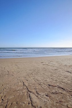 İtalya, Sicilya, Akdeniz, Marina di Ragusa (Ragusa Eyaleti); denizdeki sörfçüler