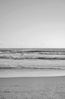 İtalya, Sicilya, Akdeniz, Marina di Ragusa (Ragusa Eyaleti); denizdeki sörfçüler 