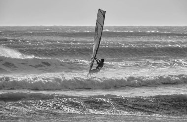 İtalya, Sicilya, Akdeniz, Marina di Ragusa (Ragusa Eyaleti); denizde rüzgar sörfçüleri 