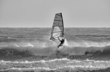 İtalya, Sicilya, Akdeniz, Marina di Ragusa (Ragusa Eyaleti); denizdeki rüzgar sörfçüsü 