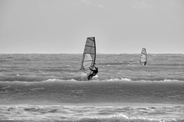 İtalya, Sicilya, Akdeniz, Marina di Ragusa (Ragusa Eyaleti); denizde rüzgar sörfçüleri 