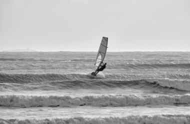 İtalya, Sicilya, Akdeniz, Marina di Ragusa (Ragusa Eyaleti); denizdeki rüzgar sörfçüsü 