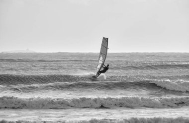 İtalya, Sicilya, Akdeniz, Marina di Ragusa (Ragusa Eyaleti); denizdeki rüzgar sörfçüsü 
