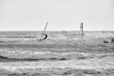 İtalya, Sicilya, Akdeniz, Marina di Ragusa (Ragusa Eyaleti); denizde rüzgar sörfçüleri 