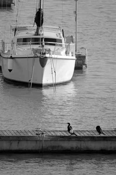 意大利 西西里 地中海 拉古萨海 拉古萨省 港口的皮划艇和豪华游艇 — 图库照片