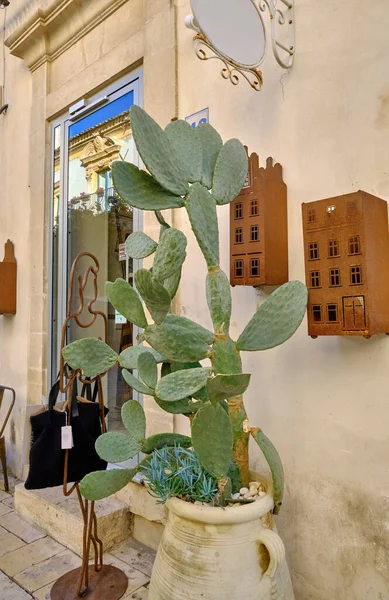 イタリア シチリア島 Scicli ラグーザ州 町の中心街に観光店の外の梨の植物 — ストック写真