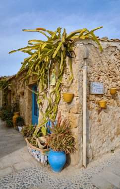 İtalya, Sicilya, Marzamemi (Siracusa Eyaleti), eski ton balığı fabrikası binaları, bir evin ön duvarında sulu bitkiler.