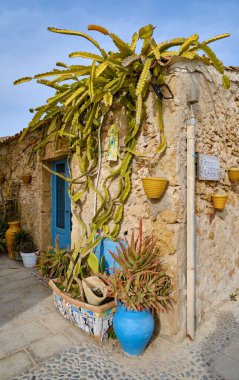 İtalya, Sicilya, Marzamemi (Siracusa Eyaleti), eski ton balığı fabrikası binaları, bir evin ön duvarında sulu bitkiler.