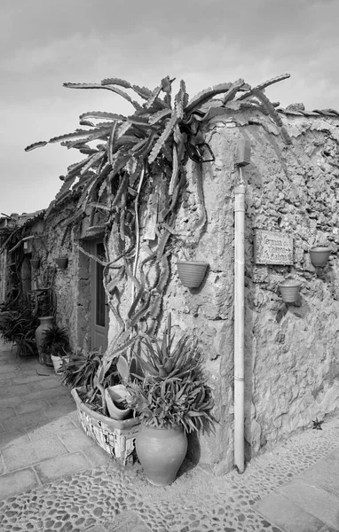 Itália Sicília Marzamemi Província Siracusa Antigos Edifícios Fábricas Pesca Atum — Fotografia de Stock