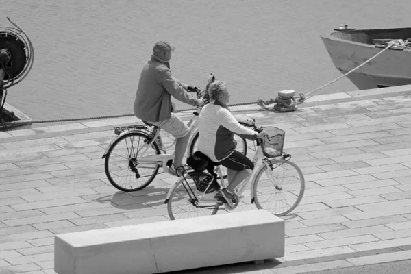 意大利 西西里 地中海 拉古萨海 拉古萨省 2022年4月17日 与他们的狗在港口骑自行车的伴侣 Editorial — 图库照片
