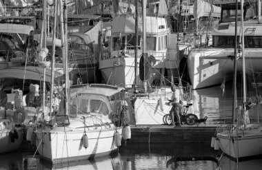 İtalya, Sicilya, Akdeniz, Marina di Ragusa (Ragusa Eyaleti); 7 Ekim 2022, limanda köpek ve lüks yatları olan adam - EDITORIAL
