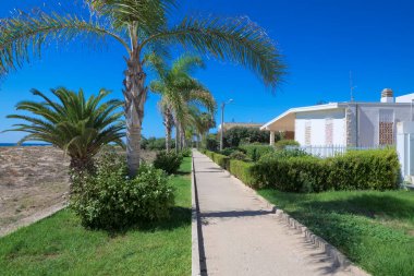 İtalya, Sicilya, Akdeniz, Playa Grande (Ragusa ili), deniz kenarında palmiye ağaçları