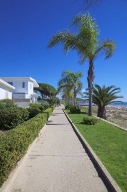 İtalya, Sicilya, Akdeniz, Playa Grande (Ragusa ili), deniz kenarında palmiye ağaçları