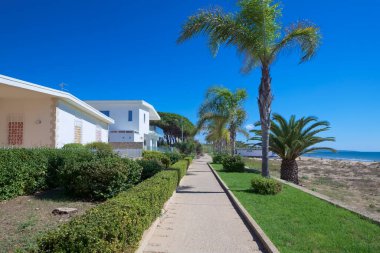 İtalya, Sicilya, Akdeniz, Playa Grande (Ragusa ili), deniz kenarında palmiye ağaçları