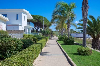 İtalya, Sicilya, Akdeniz, Playa Grande (Ragusa ili), deniz kenarında palmiye ağaçları