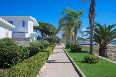 İtalya, Sicilya, Akdeniz, Playa Grande (Ragusa ili), deniz kenarında palmiye ağaçları