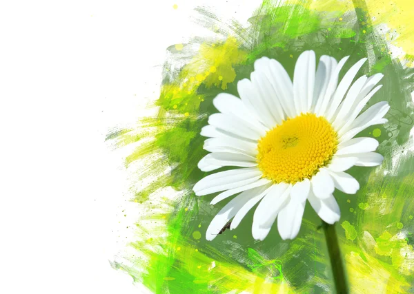 Papatya flower.watercolor etkisi — Stok fotoğraf