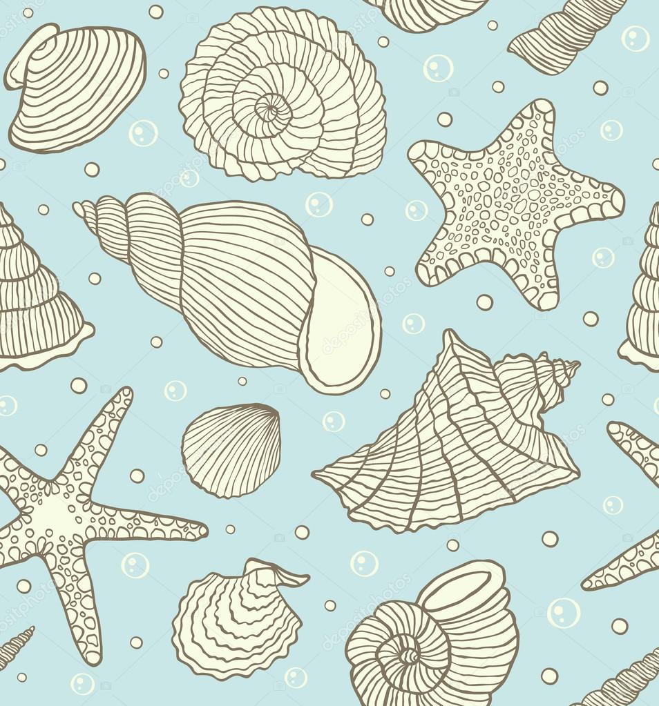 ocean shells