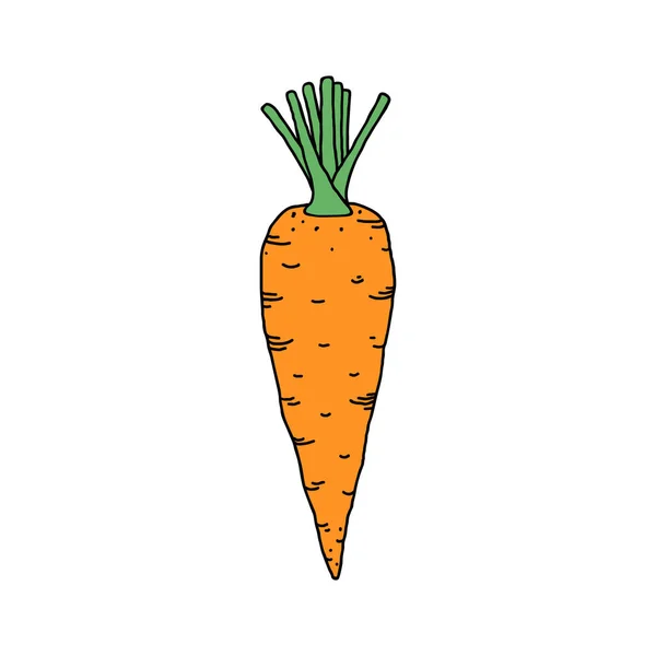 Carota in stile doodle — Vettoriale Stock