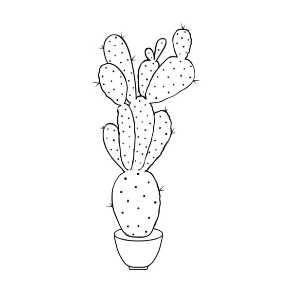 Cactus in stile doodle — Vettoriale Stock