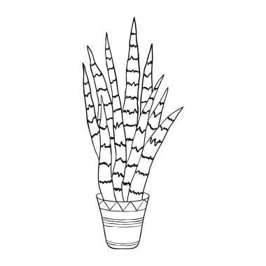 Karalama tarzında ev çiçeği.