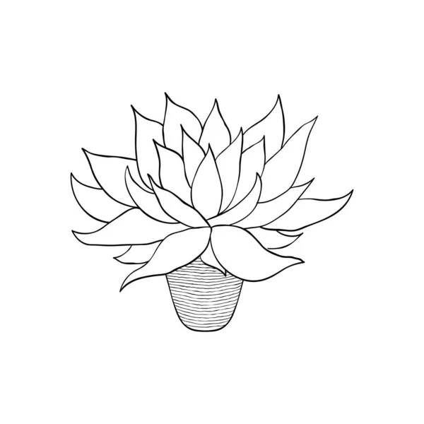 Inicio flor en estilo doodle. — Vector de stock