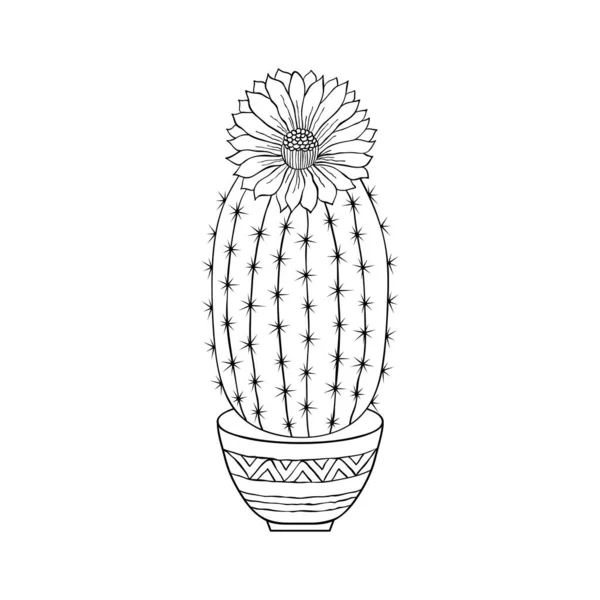 Cactus en estilo doodle — Vector de stock