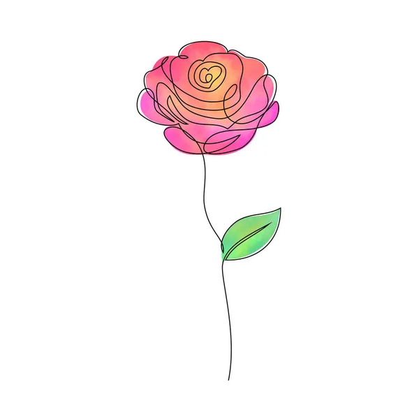 Rose Blume auf weiß — Stockvektor