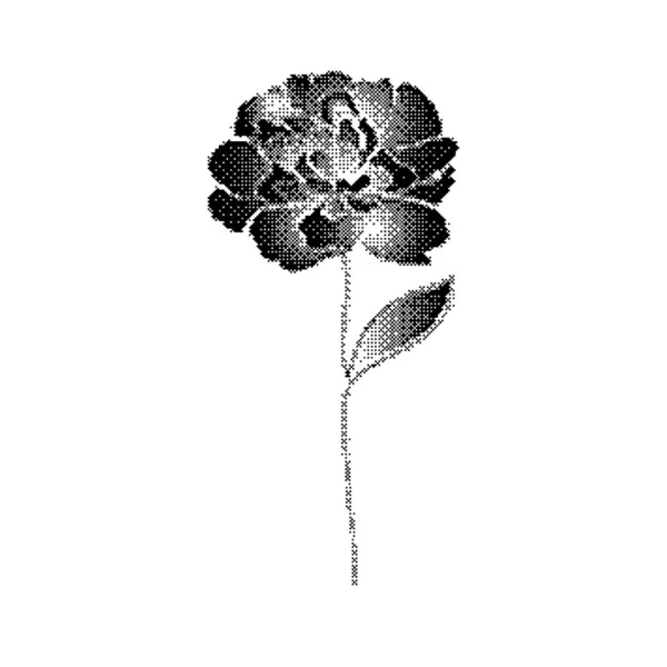 具有位图效果的牡丹花 — 图库矢量图片