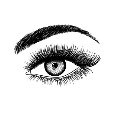 Hand drawn female eye isolated on white background.
