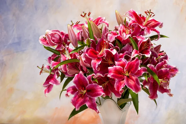 Pink lilies on a colored background — Stock Photo, Image