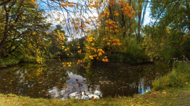 bir şehirde sonbahar sahne