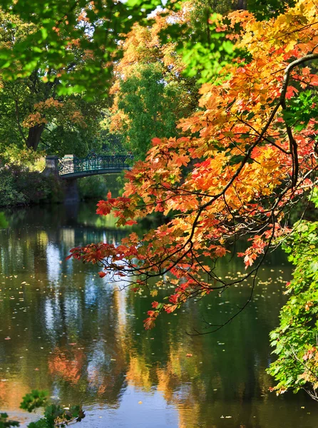 Escena de otoño en una ciudad — Foto de Stock