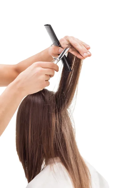 Professioneller Friseur mit langen Haaren Modell — Stockfoto