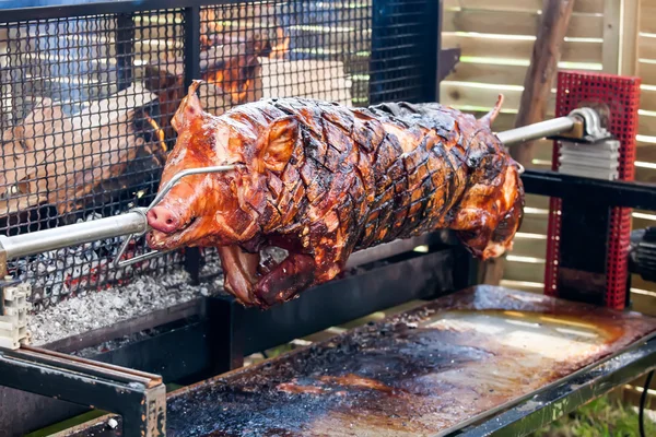 선반에 구운된 돼지 — 스톡 사진