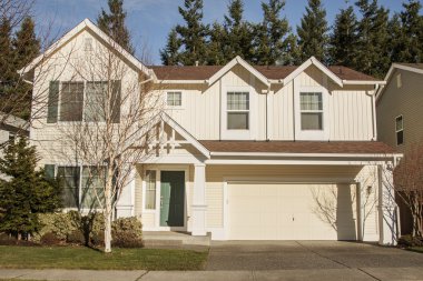 Amerikan müstakil ev