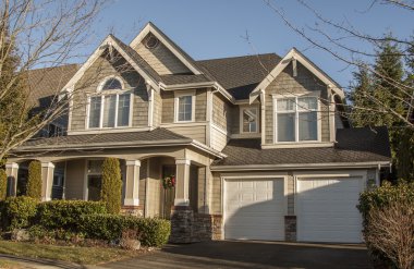 Amerikan müstakil ev