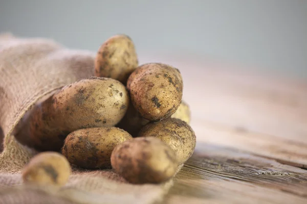 Potatoe — Stock fotografie