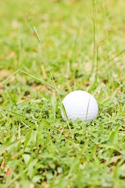 Bola de golfe branco na grama verde — Fotografia de Stock