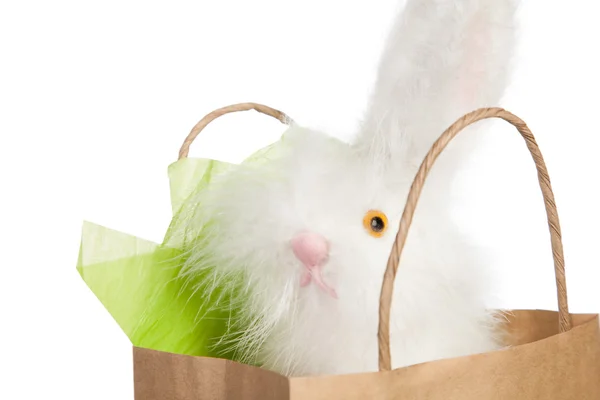 Fluffy white Easter bunny gift — Stock Photo, Image