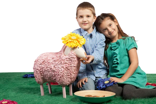 Brother and sister feeding a sheep — Stock Photo, Image