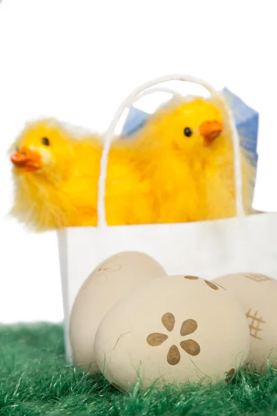 Two yellow baby chicks — Stock Photo, Image