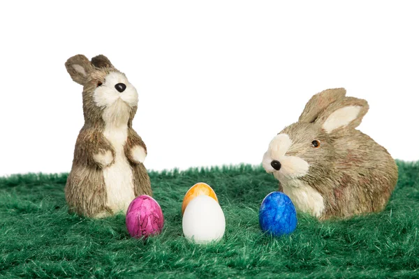 Two Easter bunnies — Stock Photo, Image