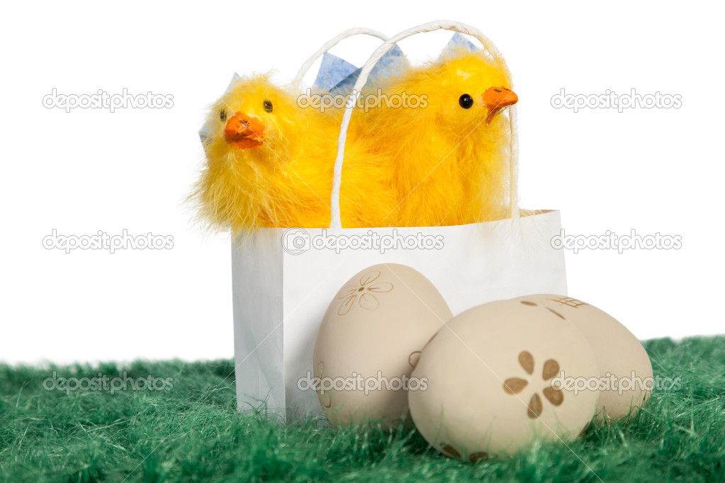 White bag with baby chickens