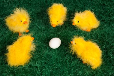 Cute little yellow Easter chicks clipart