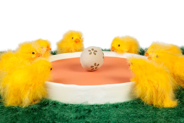 Easter chicks and egg — Stock Photo, Image