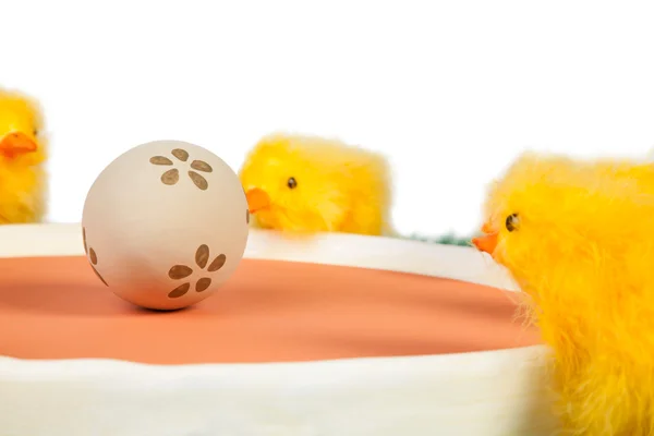 Egg and chicks — Stock Photo, Image