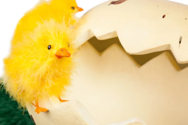 Little Easter chick with a broken eggshell — Stock Photo, Image